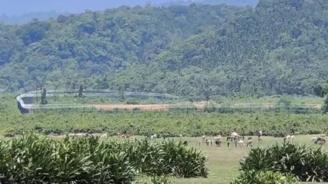 সিলেট সীমান্তে ‘ভারতীয় খাসিয়ার গুলিতে’ ২ বাংলাদেশি নিহত
