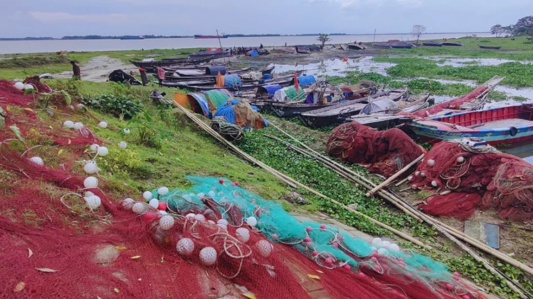 মতলব উত্তর (চাঁদপুর) উপজেলার মেঘনা নদীতে দুই মাসের অভয়াশ্রমের কারণে জেলেরা জাল ডাঙ্গায় তুলতে শুরু করেছে। ছবি: ইত্তেফাক
