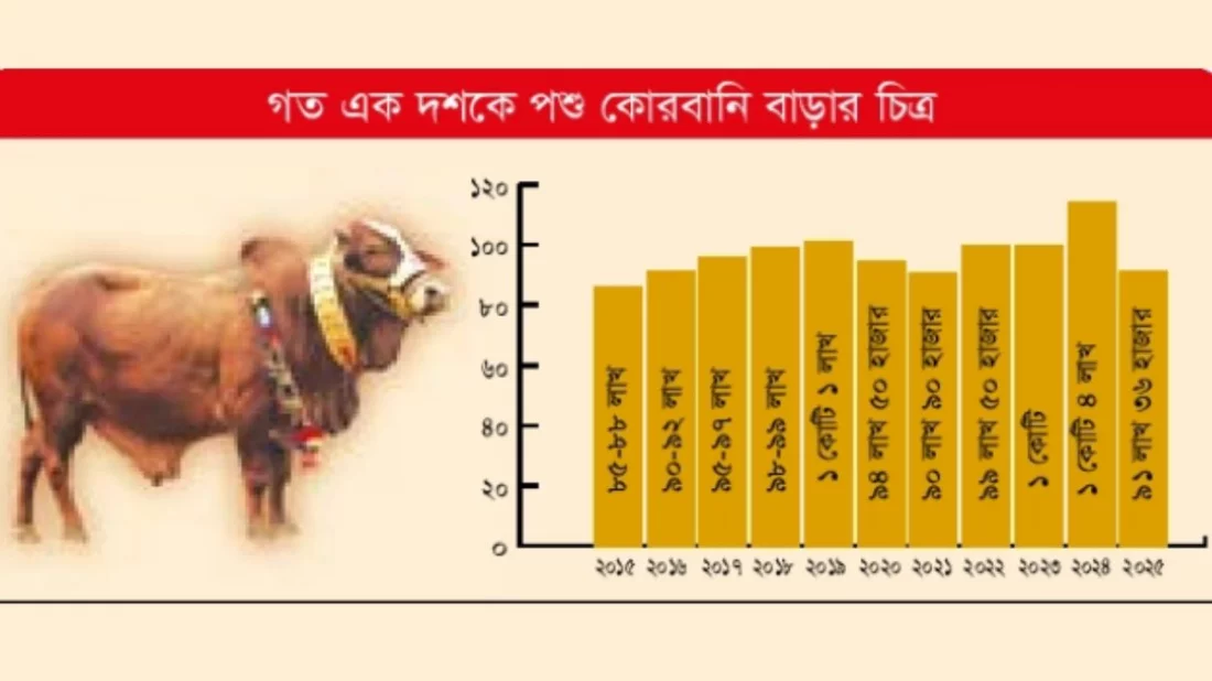 বড় হচ্ছে কোরবানির বাজার