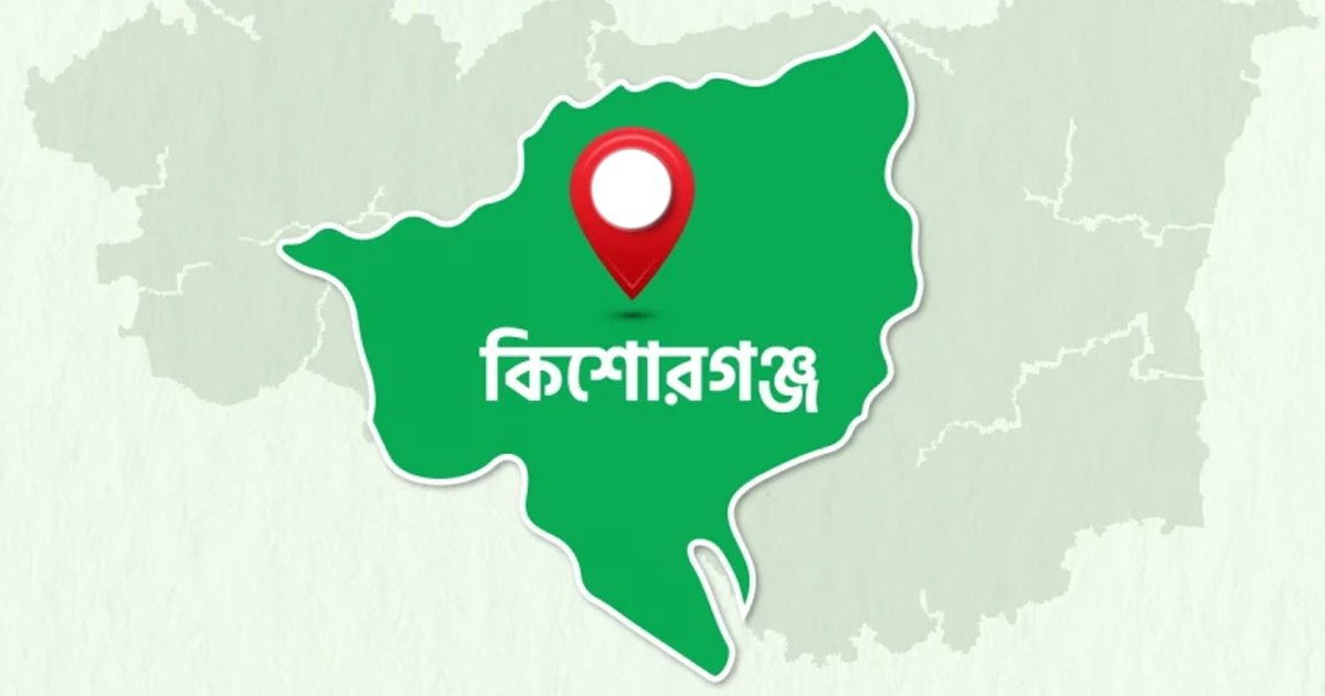 বিদ্যুৎস্পৃষ্ট বড় ভাইকে বাঁচাতে গিয়ে ছোট ভাইসহ দুইজনের মৃত্যু