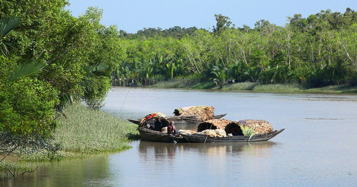 সুন্দরবনে ট্রলারসহ তিন জেলে অপহরণ, মুক্তিপণ দাবি