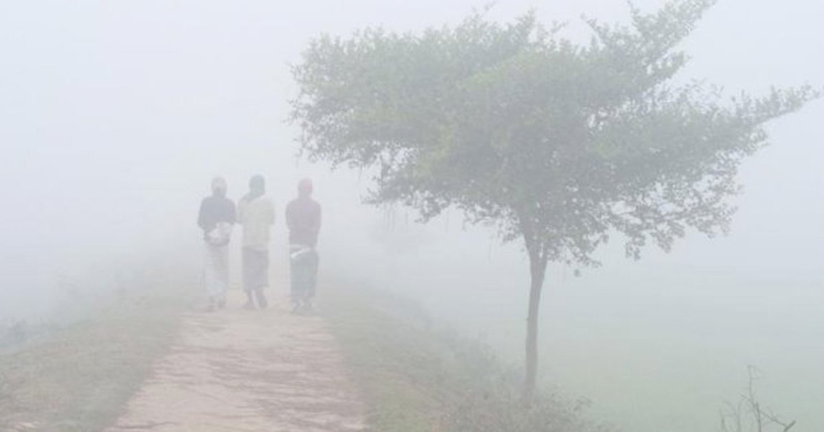 লালমনিরহাটে বৃষ্টির মতো ঝরছে কুয়াশা