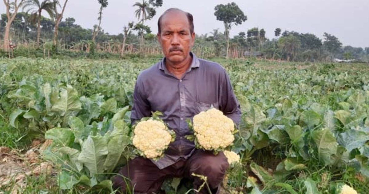 দুই-চার টাকার ফুলকপি রাজধানীতে ২০-২৫ টাকা