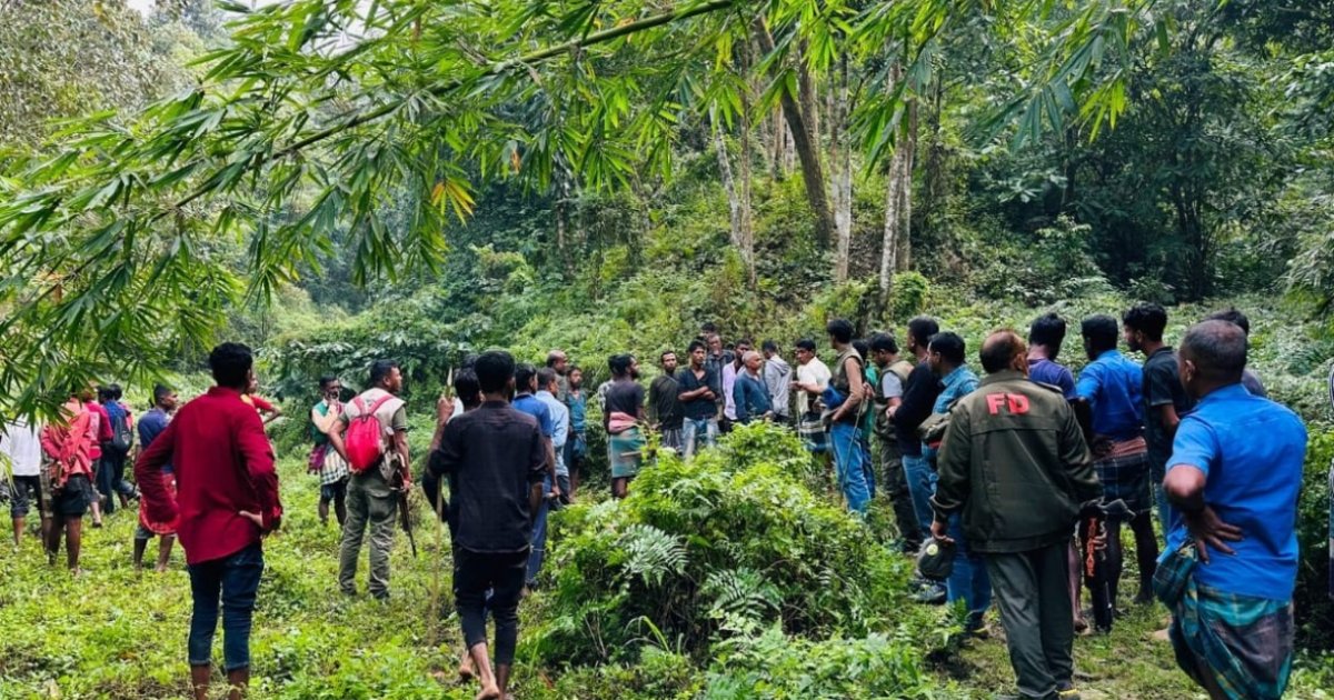 মৌলভীবাজারে বেদখলে থাকা ৩০ একর বনভূমি উদ্ধার