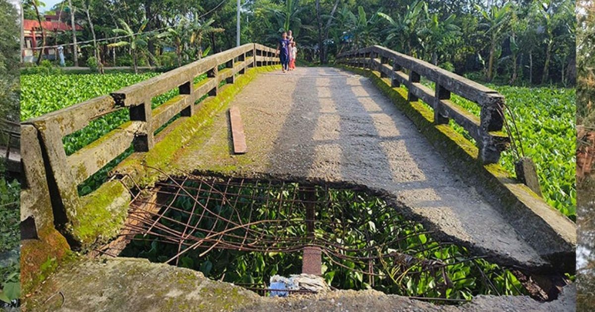 রক্ষণাবেক্ষণের অভাবে আমতলীর ৯৯ লোহার সেতু এখন মৃত্যুফাঁদ