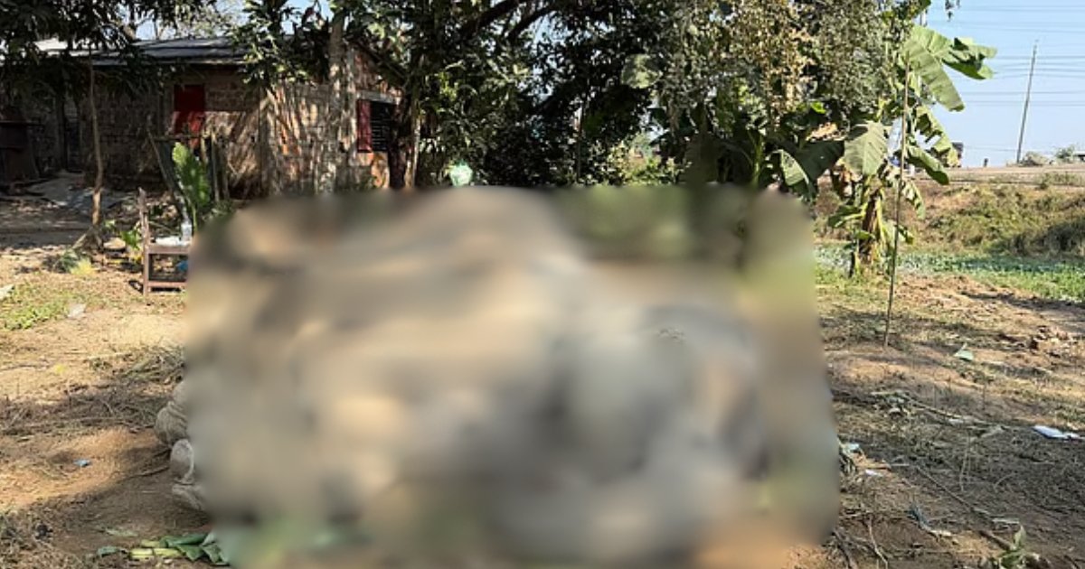 সিলেটে ডোবায় পড়া সেই হাতিটিকে বাঁচানো গেল না