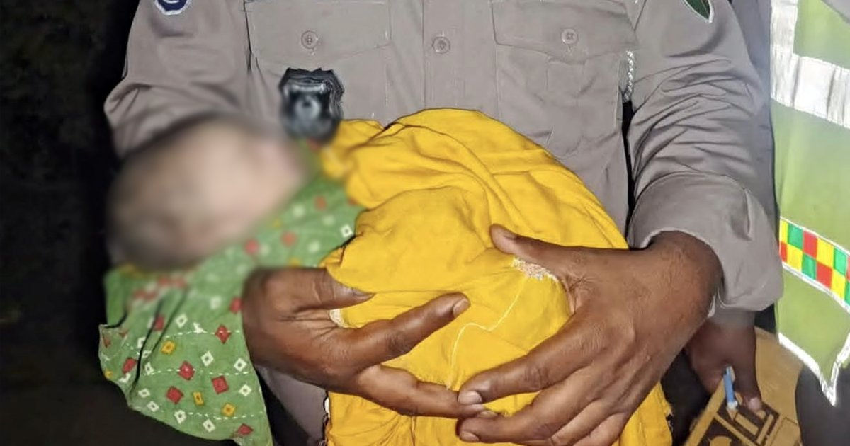 মহাসড়কের পাশে থেকে কার্টনবন্দী নবজাতকের মরদেহ উদ্ধার