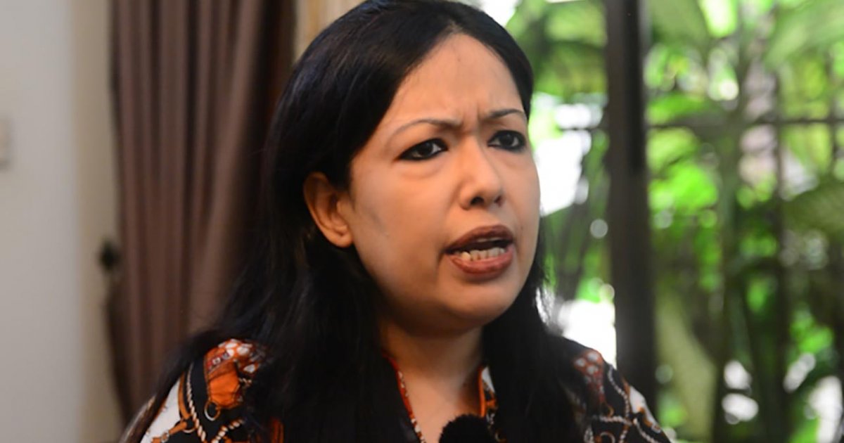 আমার হাঁস যেন চুরি না হয়: রুমিন ফারহানা