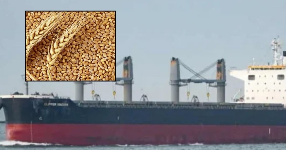 যুক্তরাষ্ট্র থেকে দেশে এলো ৫৭ হাজার ২০৩ মেট্রিক টন গম