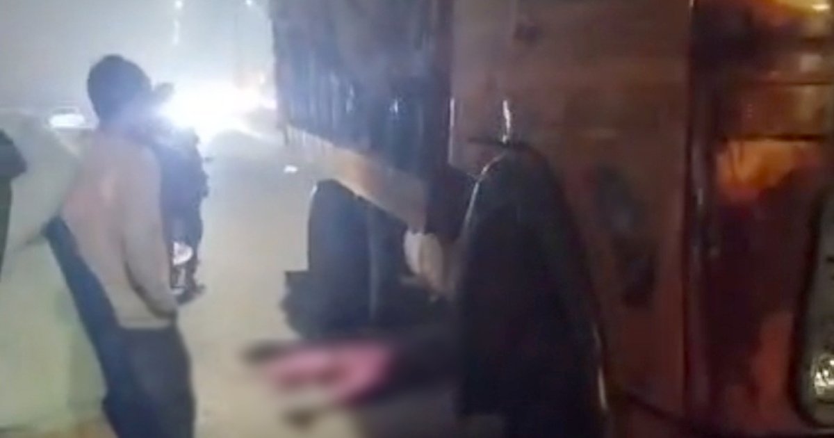 মেঘনা সেতুতে ট্রাকচাপায় অটোরিকশা যাত্রী নিহত