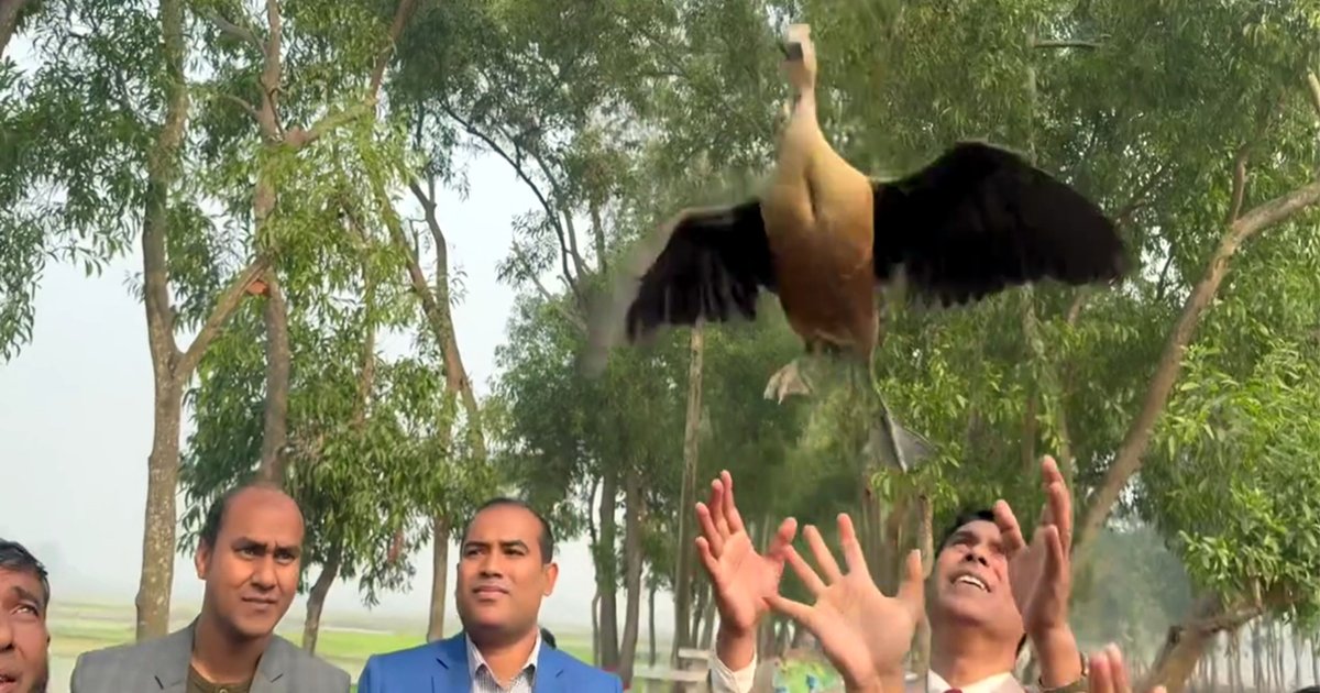 মুক্ত আকাশে ডানা মেললো শিকার হওয়া অতিথি পাখি