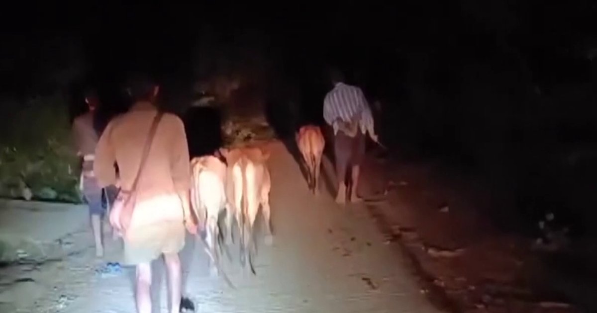 সীমান্তে ভারতীয় গরু জব্দের অভিযানে বিজিবির ওপর হামলার ঘটনায় মামলা