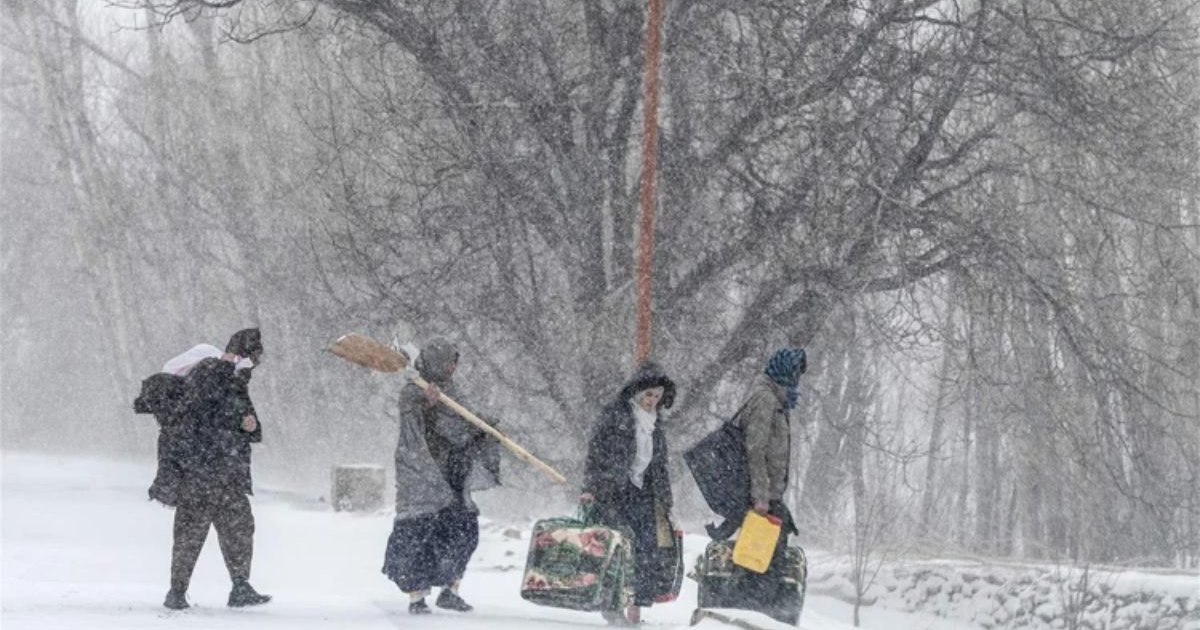 আফগানিস্তানে তুষারপাত ও ভারী বৃষ্টিতে ৩ দিনে নিহত ৬১