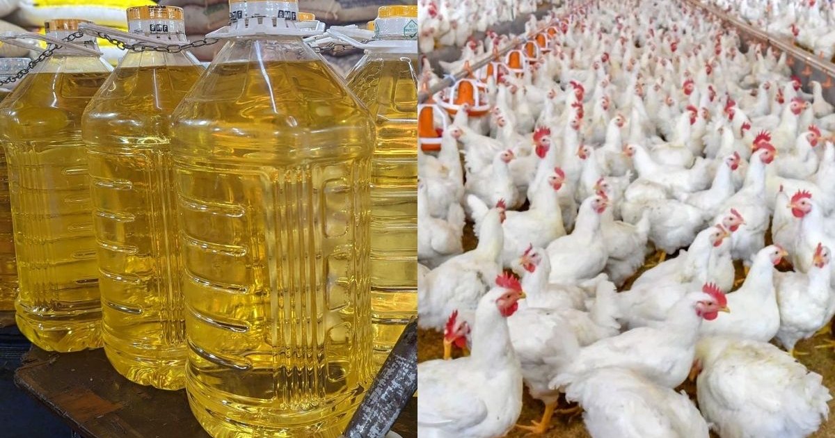 সয়াবিন তেল, মুরগির দাম বেড়েছে