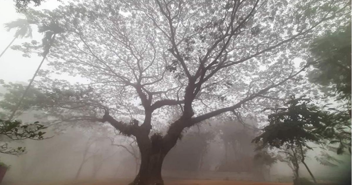 শীত নিয়ে দুঃসংবাদ দিলো আবহাওয়া অধিদপ্তর