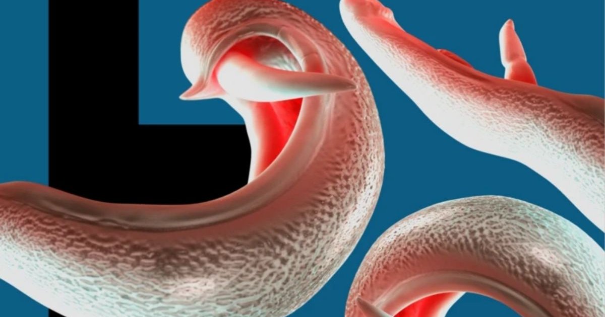 যৌনাঙ্গ আক্রান্তকারী পরজীবী ছড়াচ্ছে বিভিন্ন দেশে, বিজ্ঞানীদের সতর্কতা