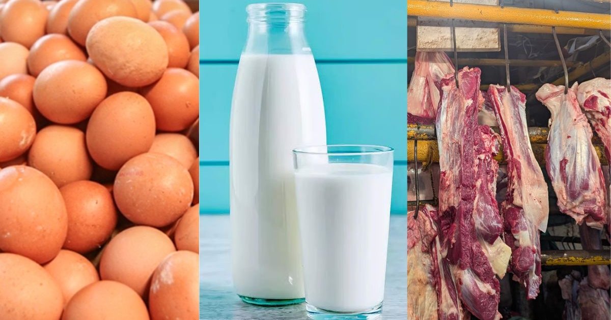 রমজানে ঢাকার ২৫ স্থানে কম দামে বিক্রি হবে ডিম, দুধ ও মাংস