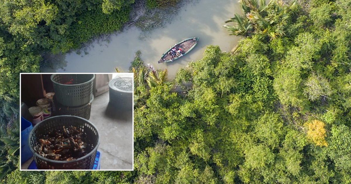 সুন্দরবনে ৮০ কেজি কাঁকড়াসহ ট্রলার ও নৌকা জব্দ, আটক ৪