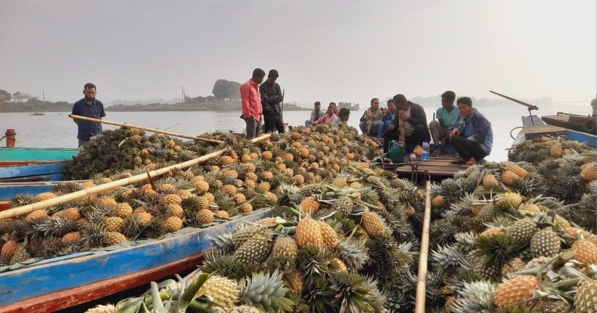 পাহাড়ে শীতেও রমরমা ‘হানিকুইন’ বাণিজ্য