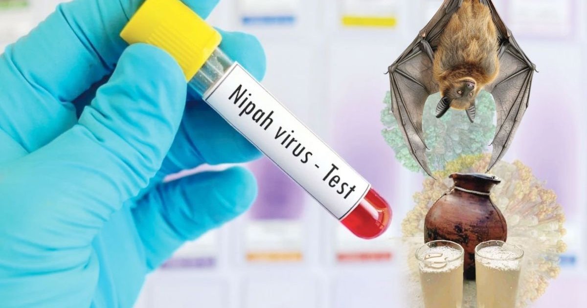 বাংলাদেশে নিপাহ ভাইরাসে মৃত্যুর খবর জানালো বিশ্ব স্বাস্থ্য সংস্থা, সতর্কতা
