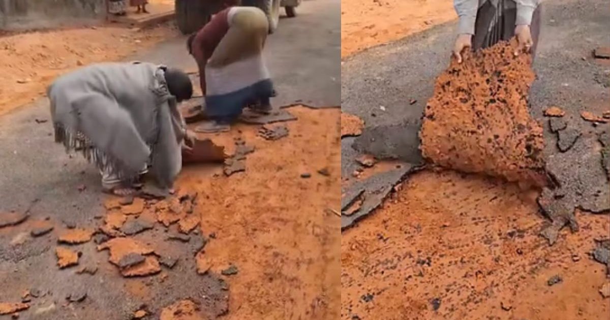 সংস্কারের দুদিন পরেই হাতের টানেই উঠে আসছে রাস্তার কার্পেটিং, ভিডিও ভাইরাল