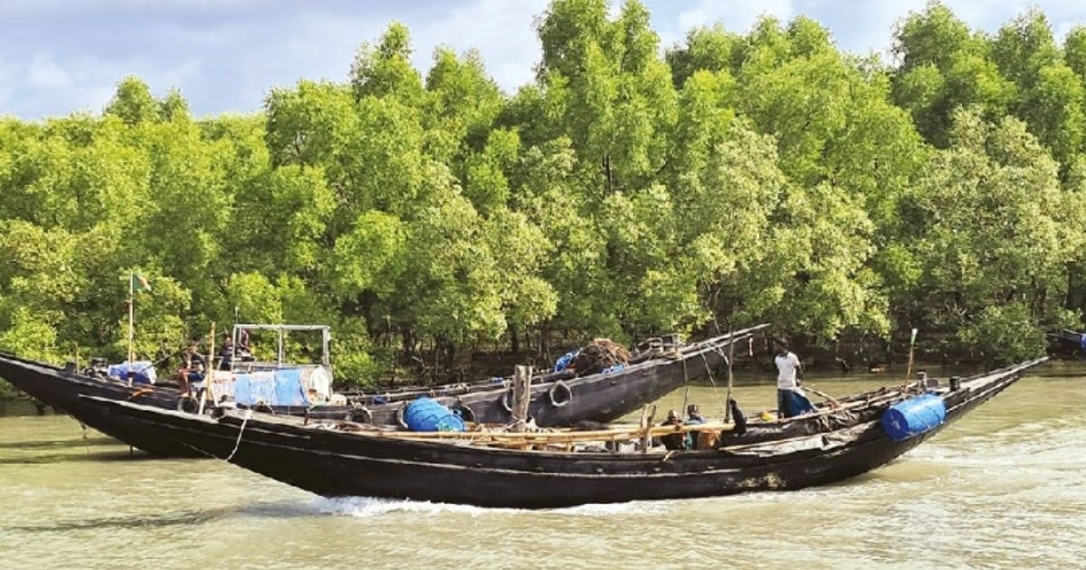 ডাকাত আতঙ্কে দুবলায় মাছ ধরা বন্ধ