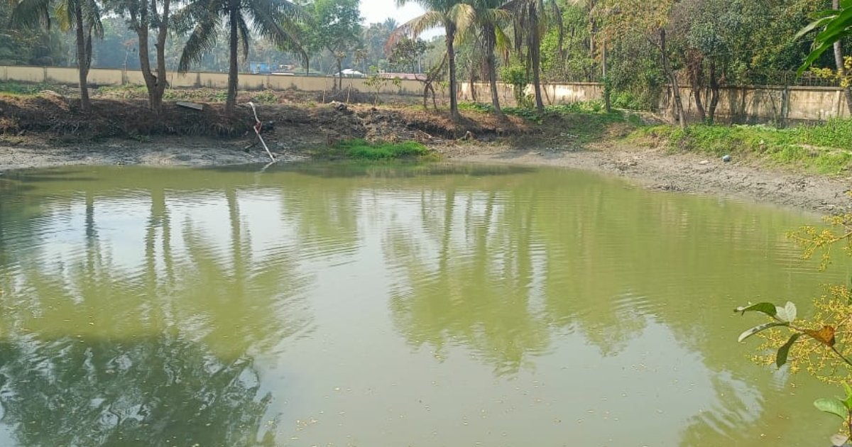 থানা থেকে লুট হওয়া শটগানের কার্তুজ মিললো পুকুরে