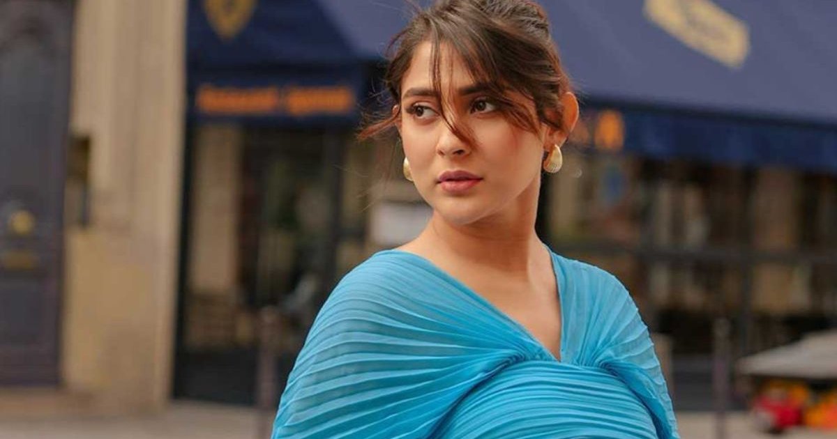 বিমানবন্দরে আমাকে থামানো হয়নি, লাগেজও আটকানো হয়নি: মেহজাবীন