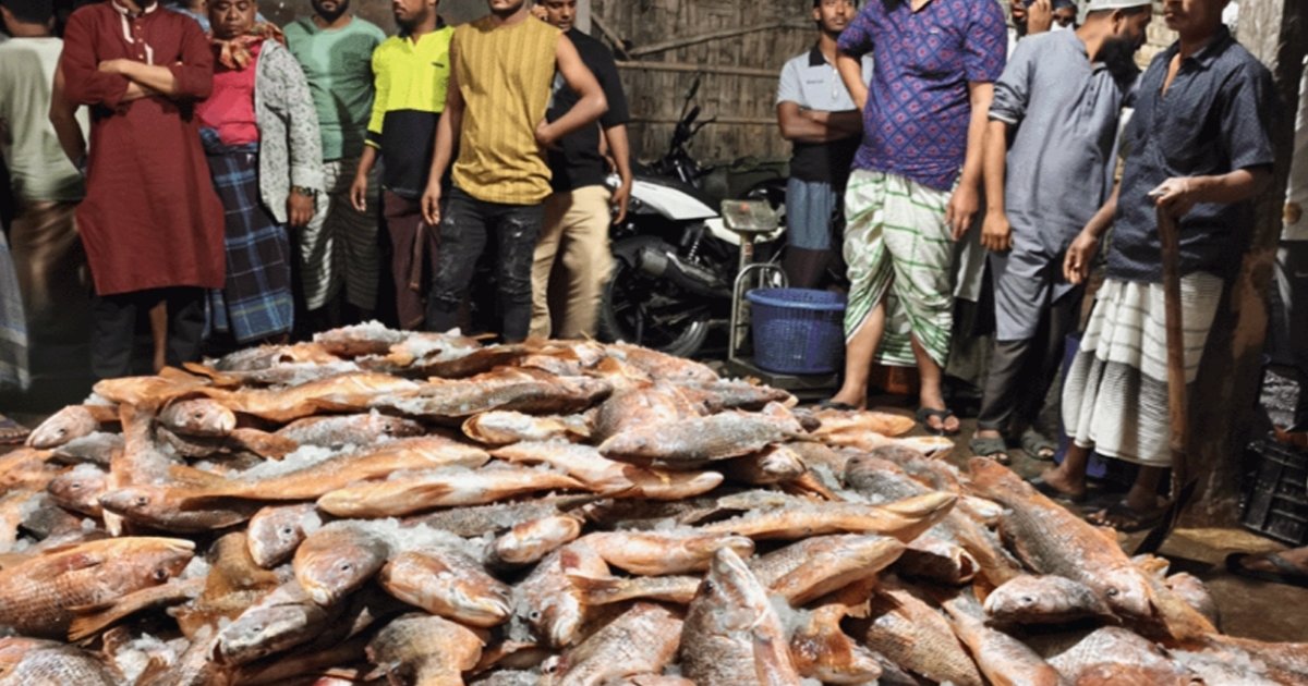 টেকনাফে এক জালে ধরা পড়লো ৩১ লাখ টাকার লাল কোরাল