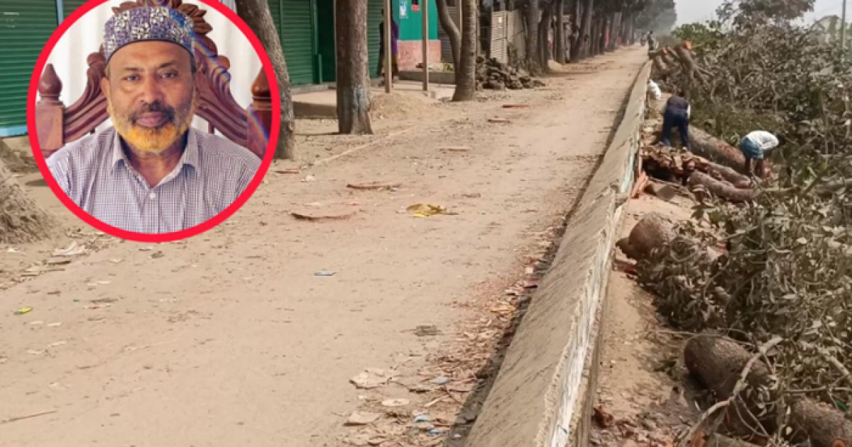 সরকারি গাছ কাটার মামলায় পদ স্থগিত হওয়া বিএনপি নেতা গ্রেপ্তার