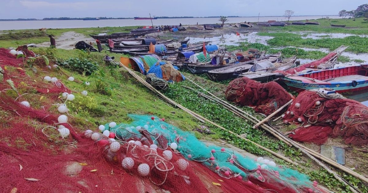 শনিবার থেকে দুই মাস পদ্মা-মেঘনায় ইলিশ ধরা বন্ধ