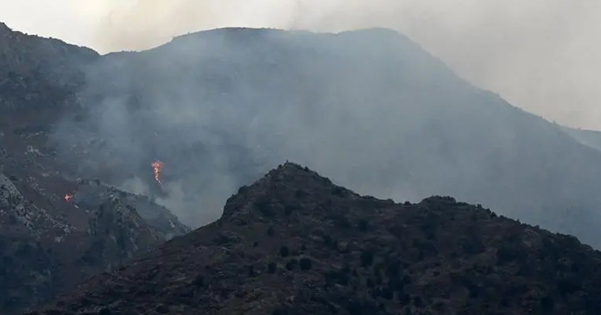 ফের পাল্টাপাল্টি হামলা পাকিস্তান-আফগানিস্তানের 
