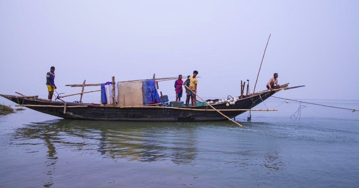ভোলার মেঘনা-তেঁতুলিয়া নদীতে ২ মাসের জন্য মাছ শিকারে নিষেধাজ্ঞা