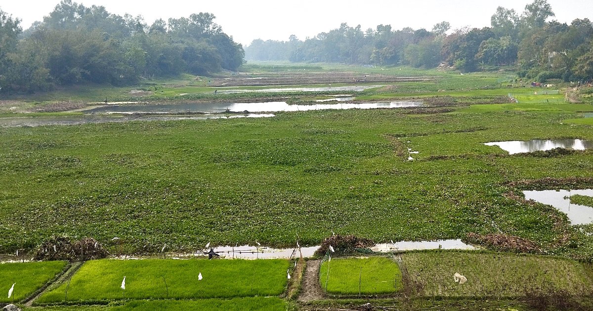অস্তিত্ব সংকটে ইছামতি