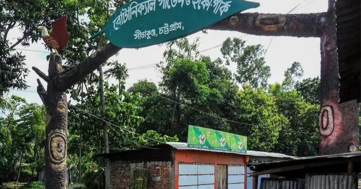 গলাকাটা অবস্থায় জঙ্গলে হাঁটছিল শিশুটি, কথা বলার শক্তিও ছিল না