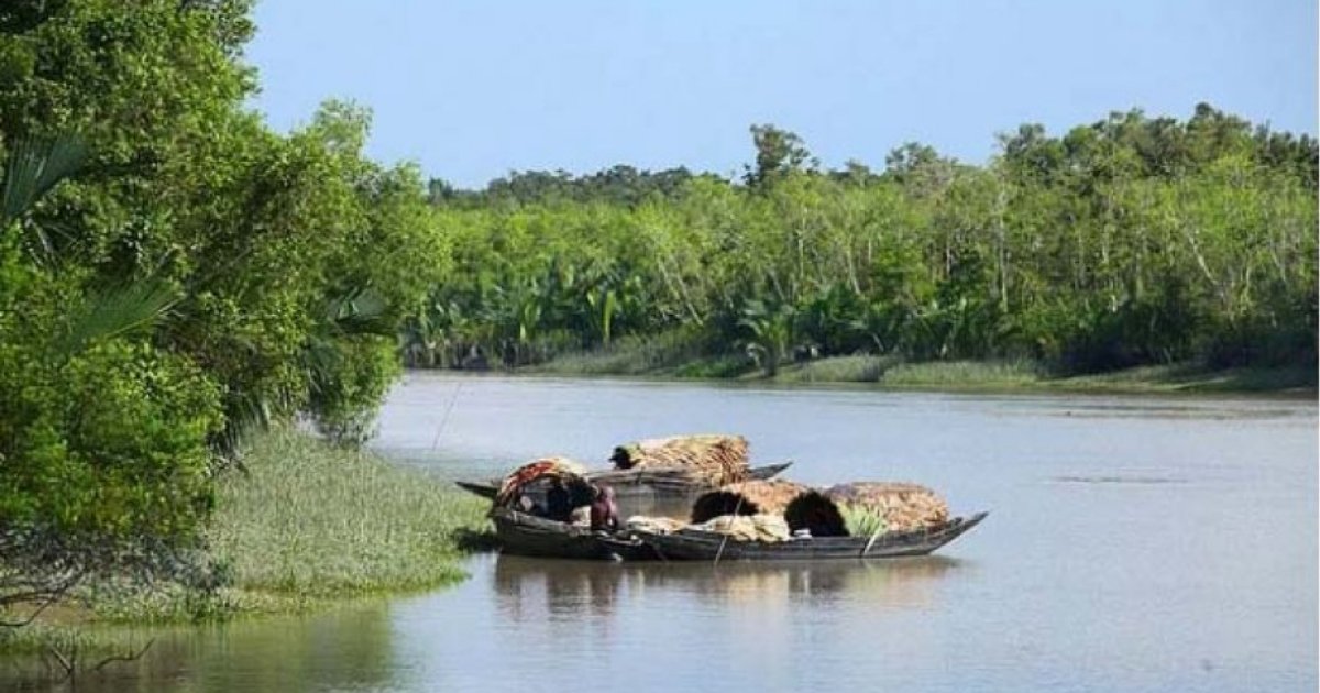 মুক্তিপণ দিয়ে ফিরেছেন সুন্দরবনের ১৪ জেলে