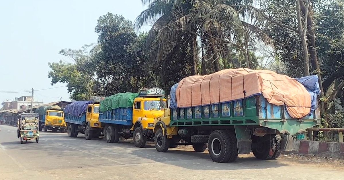 ভোলায় ৭১ টন সরকারি সার জব্দ, ট্রাকচালক আটক