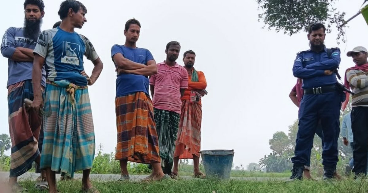 মেহেরপুরের গাংনীতে ভুট্টাখেতের পাশে উদ্ধার দুটি বোমাসদৃশ বস্তু, পুলিশের তৎপরতা