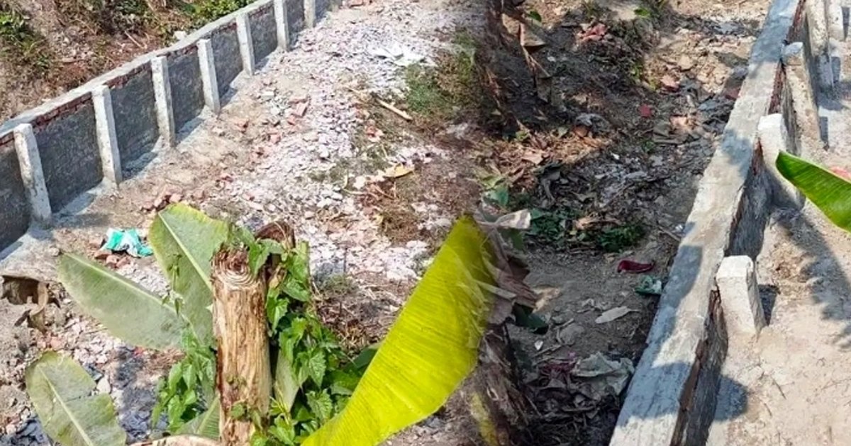 মাদারীপুরে গাইড ওয়ালে কলাগাছের কেলেঙ্কারি, সমালোচনায় রাতারাতি বদলালো নির্মাণকাজ
