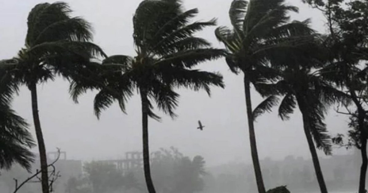 নয় জেলায় কালবৈশাখীর হুমকি: ঘণ্টায় ৬০ কিলোমিটার বেগে ঝড়ের পূর্বাভাস