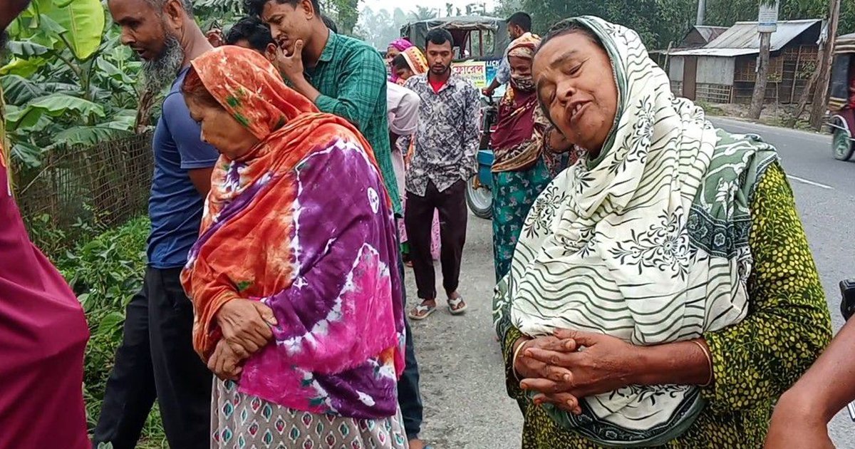 নীলফামারীতে ট্রাকের ধাক্কায় দুই ভাই নিহত, মা-সহ আহত তিনজন