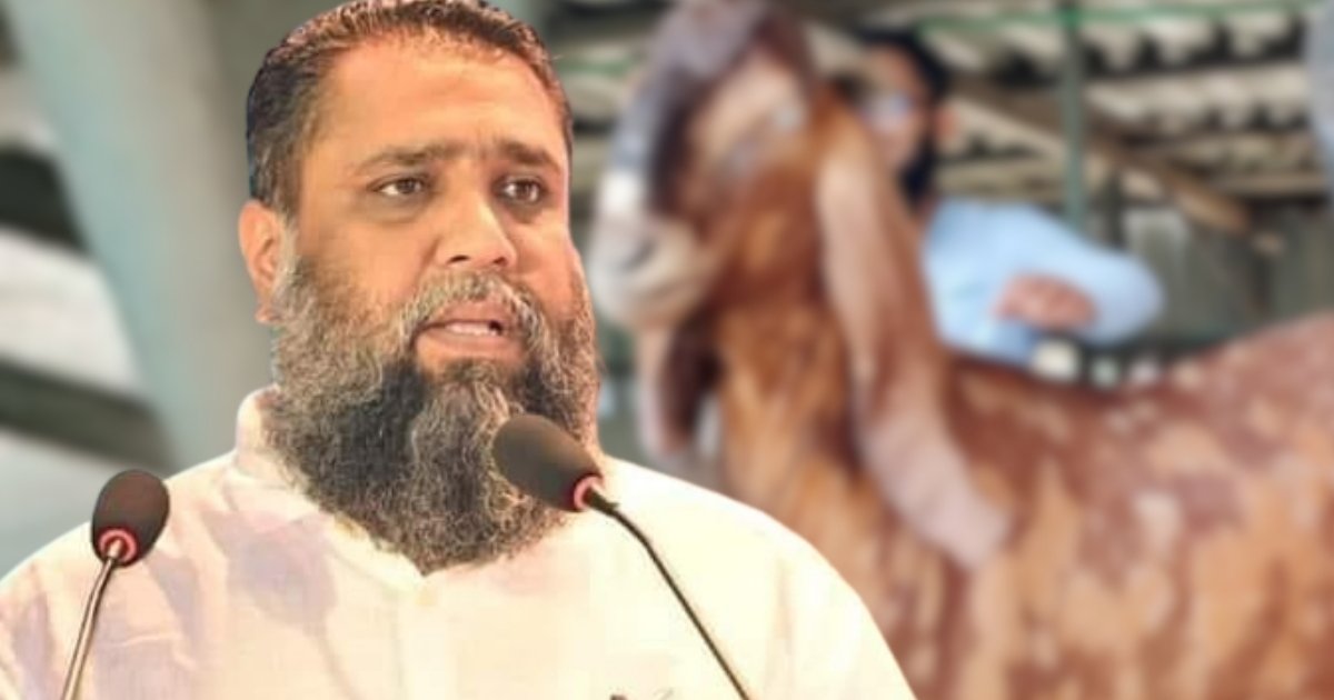 ছাগলকাণ্ডের আলোচিত সাদিক অ্যাগ্রোর চেয়ারম্যান ইমরান হোসেনের জামিন মিলল