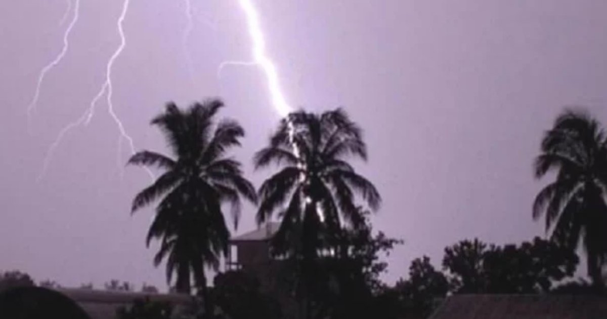 নেত্রকোনায় বজ্রপাতে তিনজনের মৃত্যু