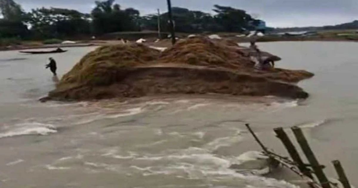সুনামগঞ্জে বাঁধ ভেঙে ফসলি জমি প্লাবিত, ধান কাটা অনিশ্চিত