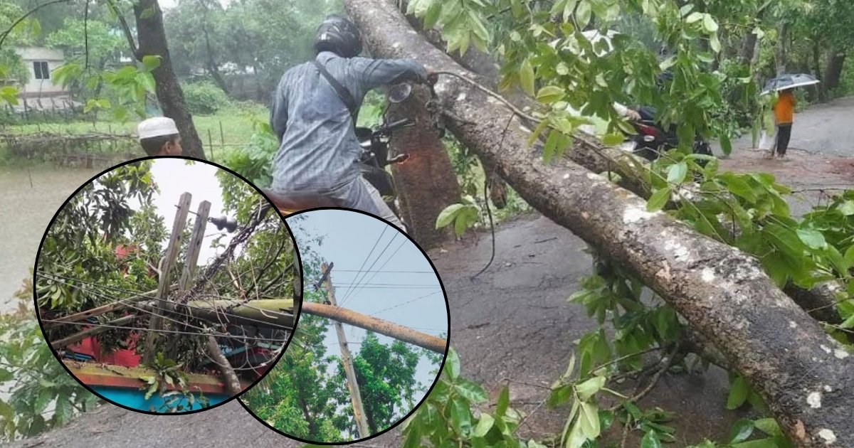 কালবৈশাখী ঝড়ে কুমিল্লায় বিদ্যুৎ ও কৃষির ব্যাপক ক্ষতি