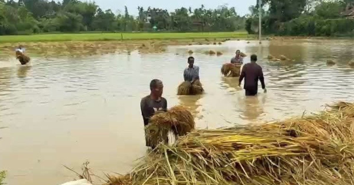 খাগড়াছড়িতে কালবৈশাখী ঝড়ে কৃষিখাতে ৭৩২ হেক্টর জমির ফসল নষ্ট