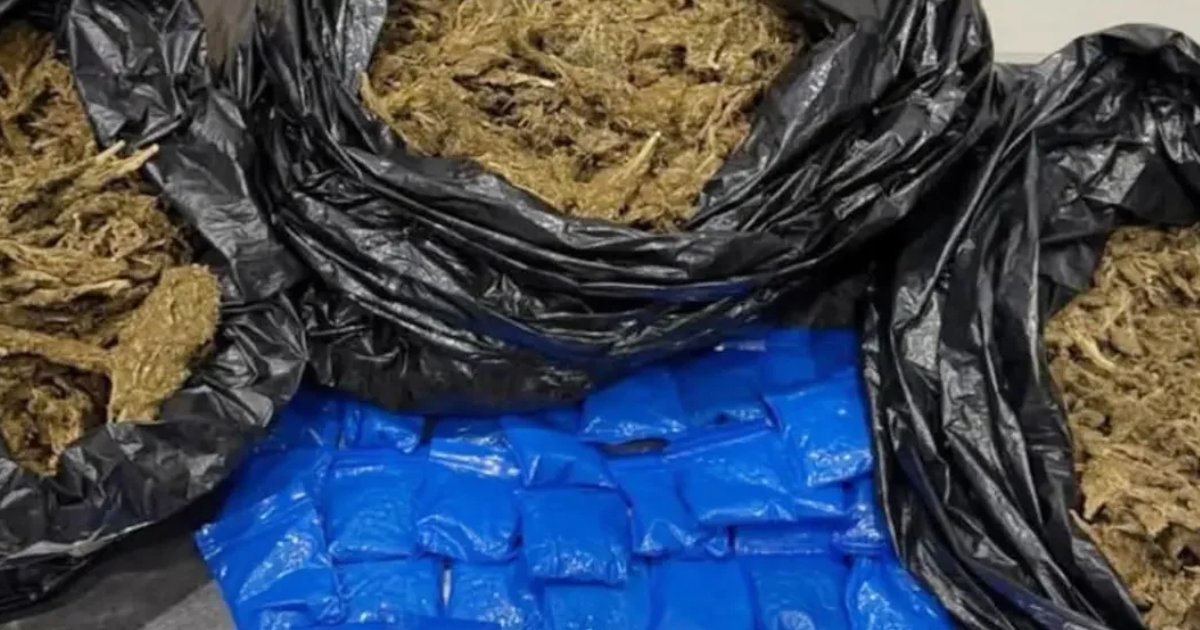 ঢাকা থেকে বিপুল মাদক নিয়ে কুয়েত বিমানবন্দরে আটক বাংলাদেশি যাত্রী