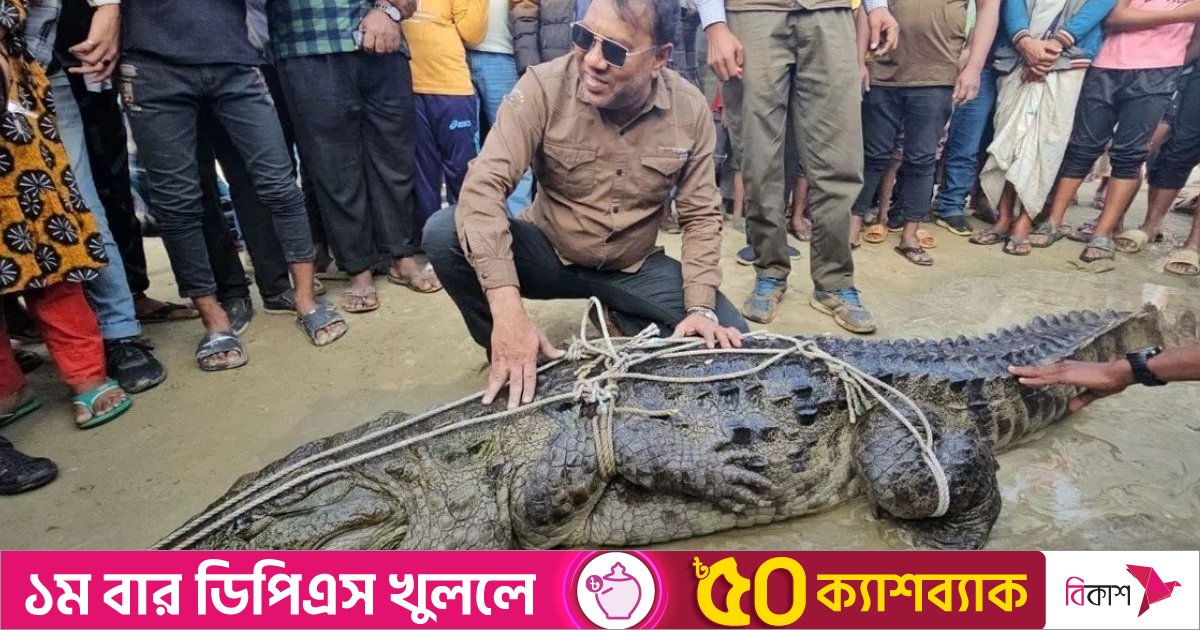 জেলেরা ভেবেছিল বড় মাছ, জালে উঠে এলো ১২ ফুটের কুমির