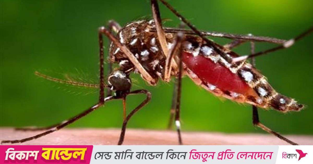 Yalangoch aktrisa Emili Prokterning surati