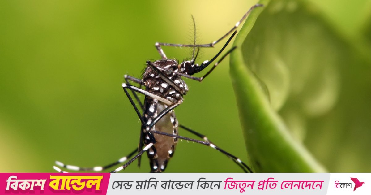 Yapon porno massaj Atiraudagi fohishalar va fohishalar